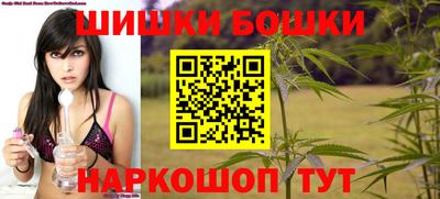 молекула духа Новодвинск