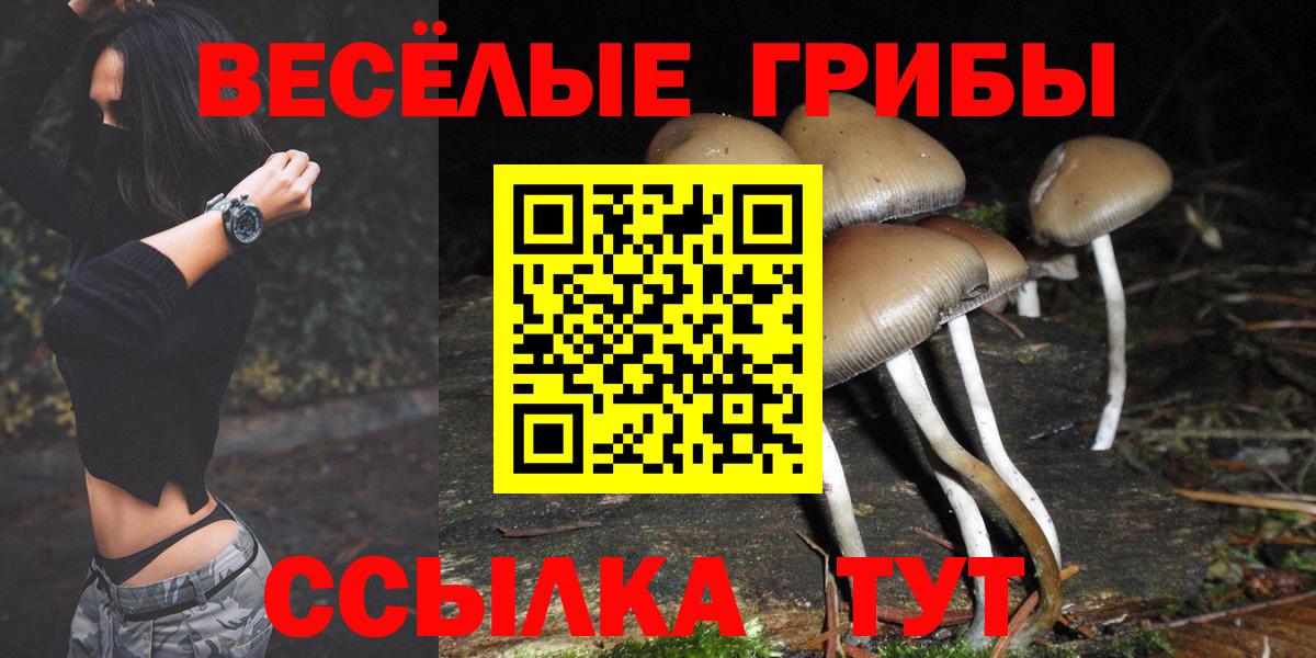 Галлюциногенные грибы MAGIC MUSHROOMS  Вход с VPN  Усинск 